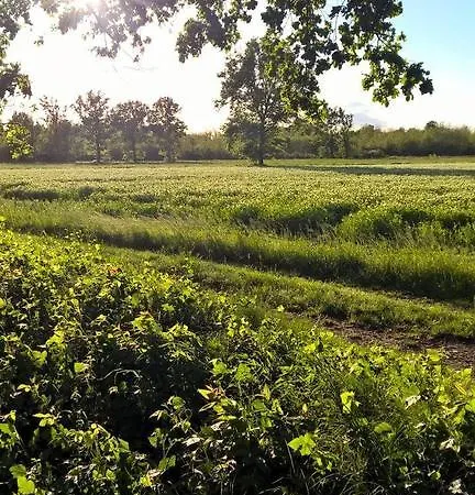 Agriturismo La Forestina