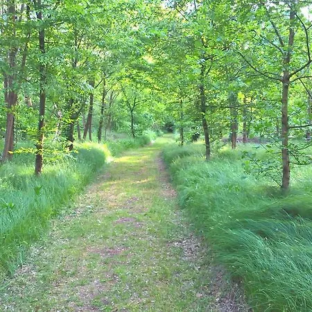 Agriturismo La Forestina
